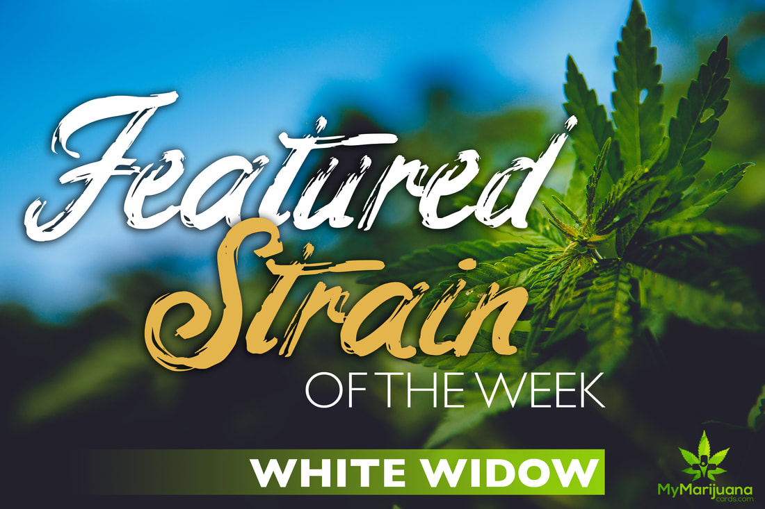 featuredstrain whitewidow orig