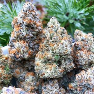 Durban Poison Cannabis Strain