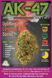 Featured medical marijuana strain of the week: AK-47 - Uplifting. Cerebral. Social