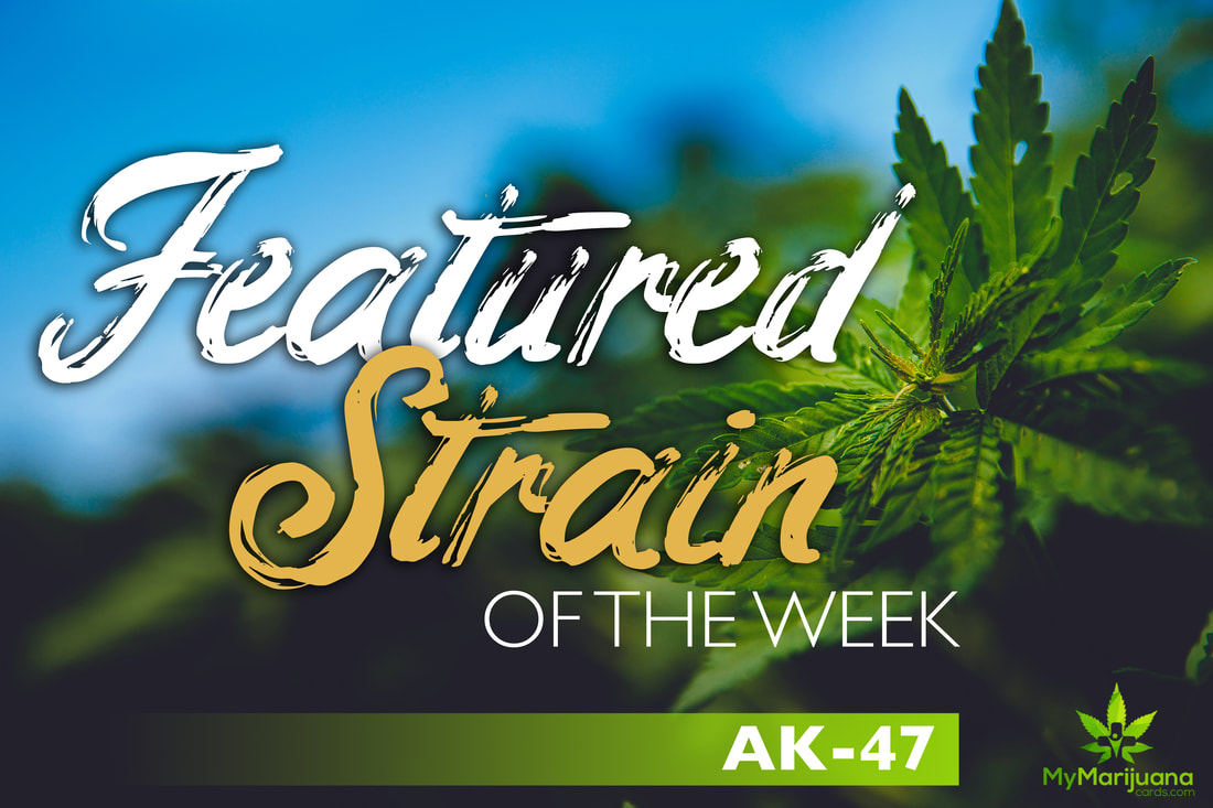featuredstrainak47 orig