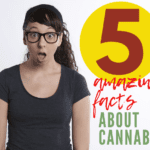 5 Amazing Facts About Cannabis