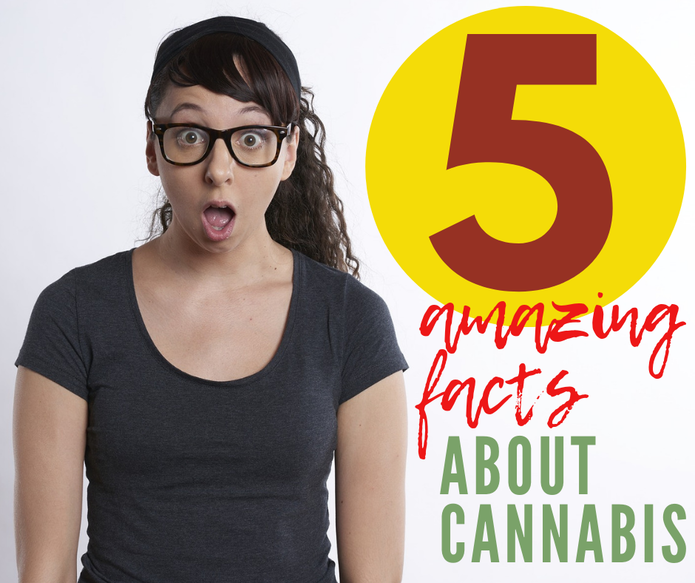 5 Amazing Facts About Cannabis