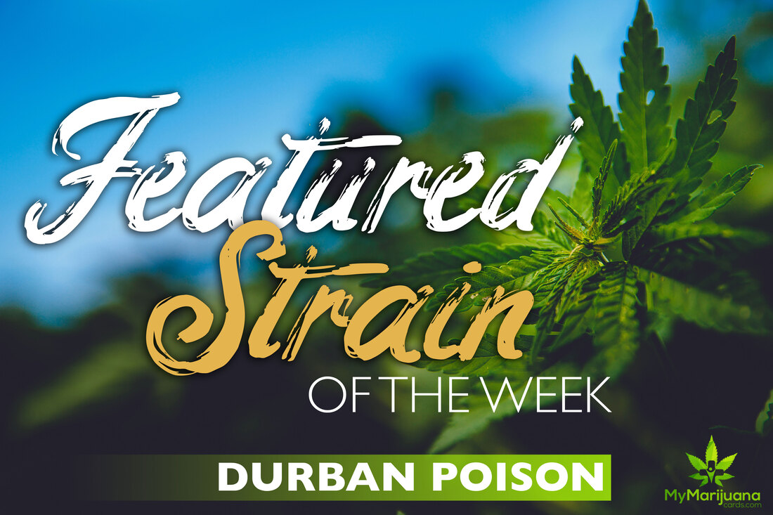 Featured Strain of the Week: Durban Poison