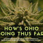 A look at how medical marijuana in Ohio is doing thus far.