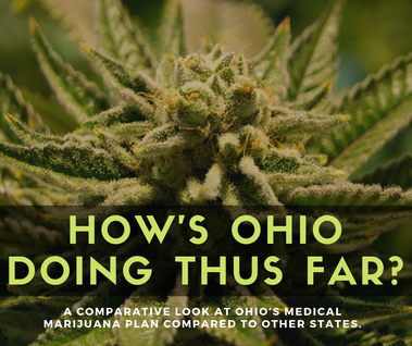 A look at how medical marijuana in Ohio is doing thus far.