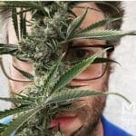 Seth-Rogan-New-Cannabis-Brand