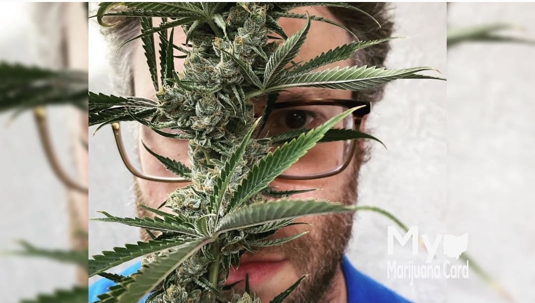 Seth-Rogan-New-Cannabis-Brand