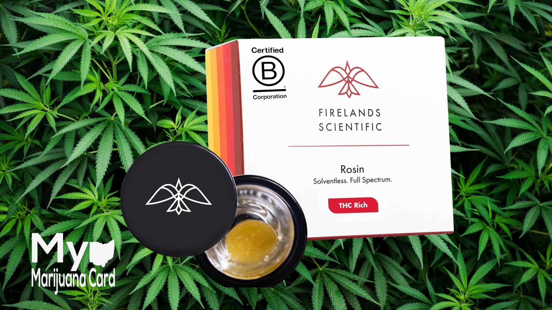 Live Resin VS Live Rosin, What’s The Difference?