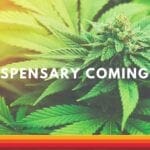 Firelands Scientific Dispensary Opening Soon in Huron, Ohio