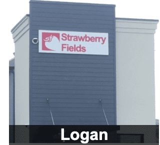 Strawberry Fields Logan