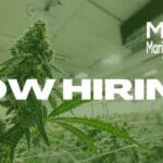 Medical Marijuana Jobs