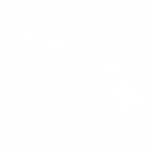 Hawaii map white