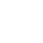 Texas map white