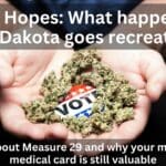 South Dakota recreational marijuana legalization cannabis measure 29 election vote