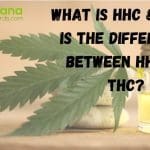 what is hhc and what is the difference between hhc and thc