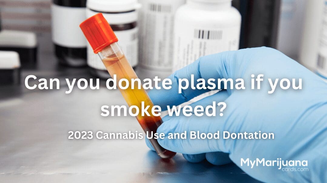 medical cannabis Can you donate plasma if you smoke weed marijuana