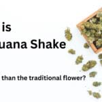 Cannabis Shake blog My Marijuana Cards