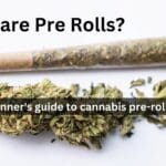 Pre roll cannabis joint blog My Marijuana Cards