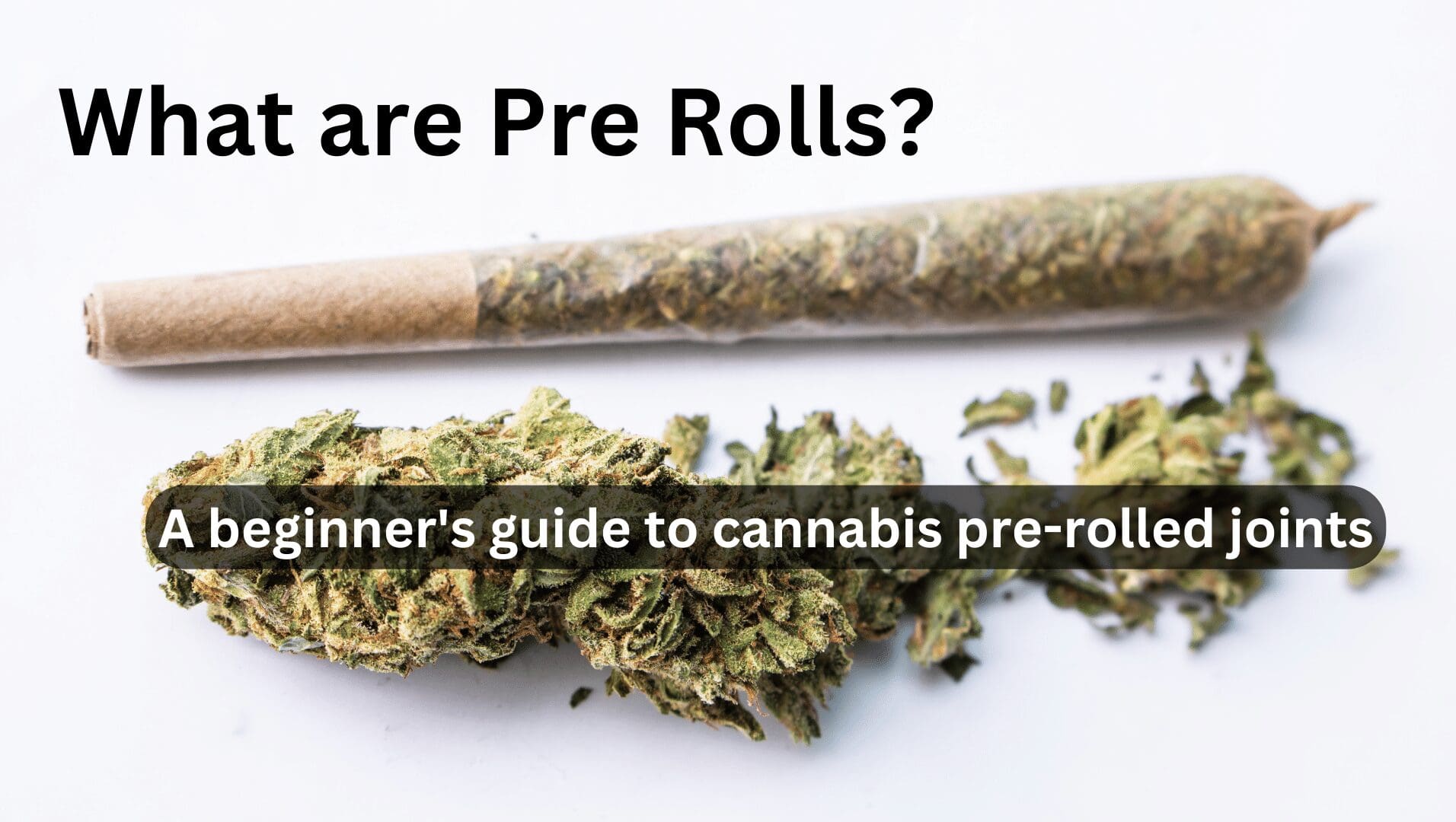 Pre roll cannabis joint blog My Marijuana Cards