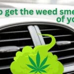 weed smell in car