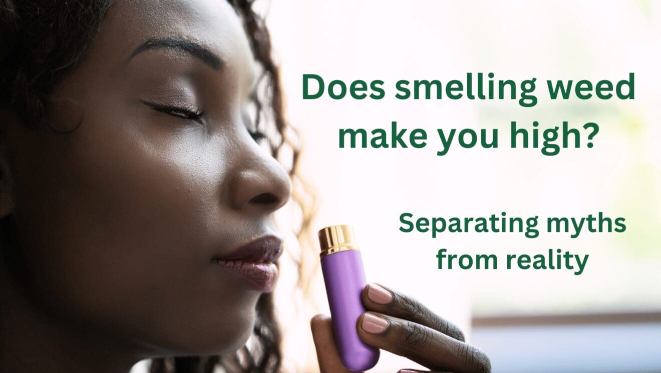 Can Smelling Weed Make You High? Separating Myths from Reality My