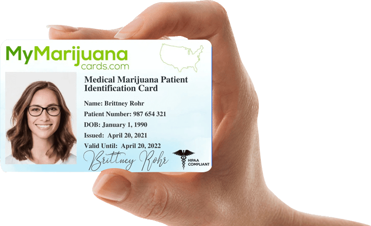 | Medicinal Cannabis for Beginners | Fazlerasheed and Company Blog April 2024