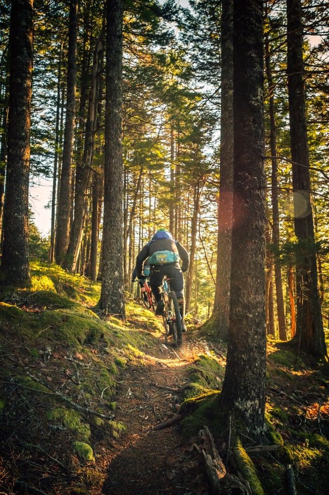 Biking while high