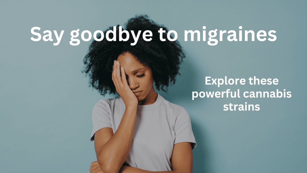 Cannabis Strains for Migraines My Marijuana Cards