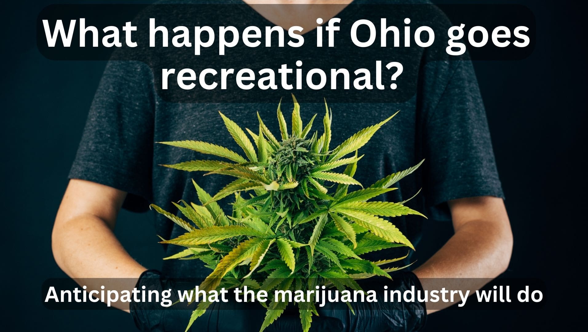 Ohio recreational cannabis
