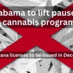 Alabama Restarts issuing Marijuana Licenses