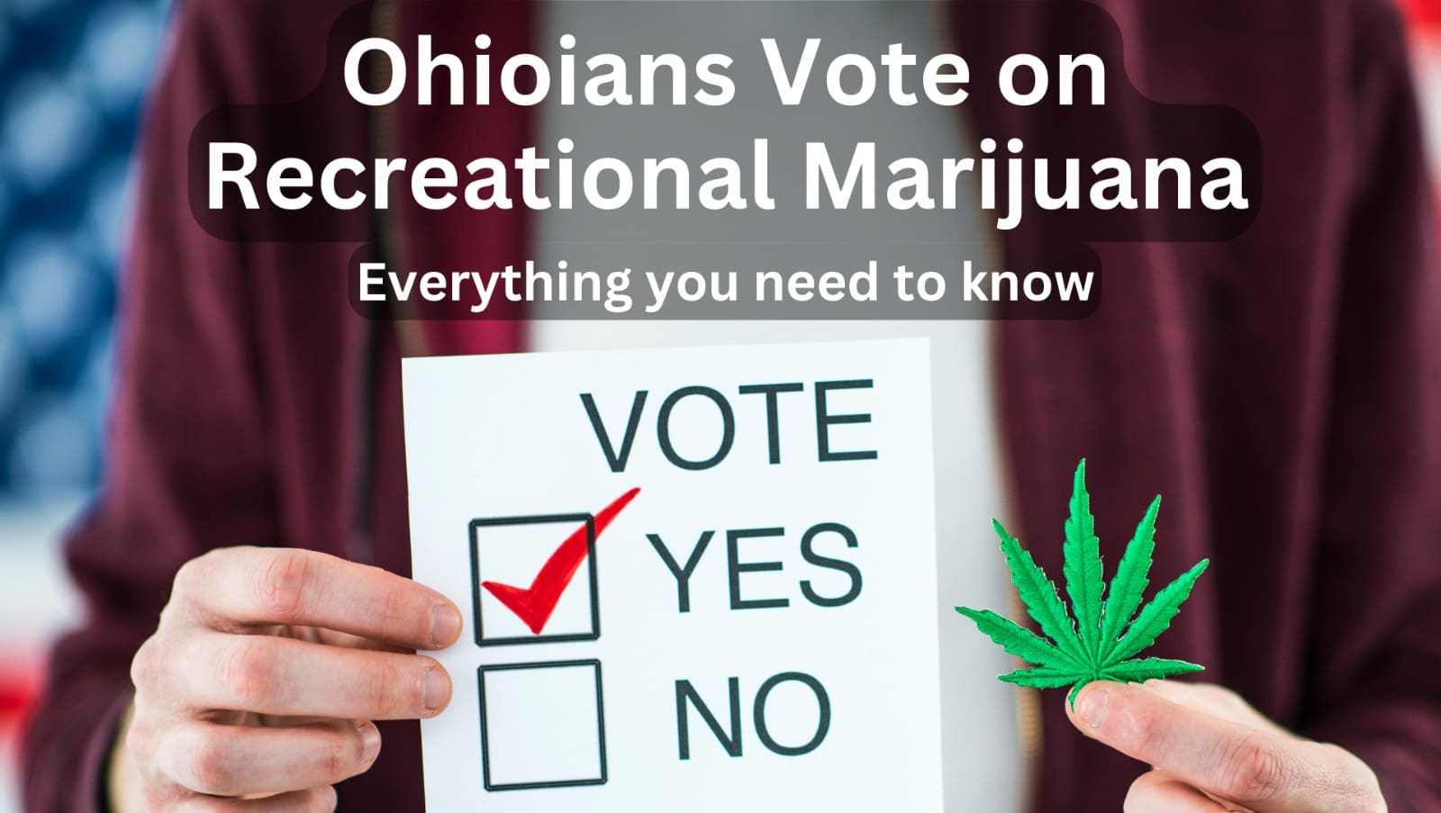 Ohio Votes on Cannabis Legalization