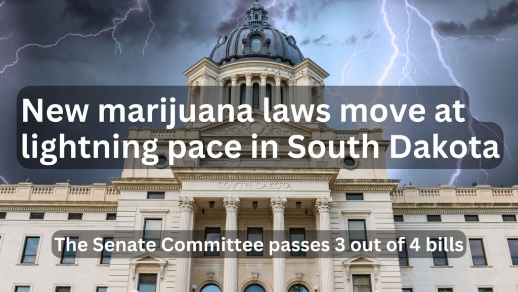 South Dakota marijuana legislation cannabis weed law