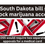 South Dakota House Bill 1055 HB 1055 HB1055 to block marijuana access stop cannabis